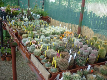 Úžasný sortiment nádherných kousků